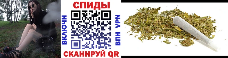 мориарти официальный сайт  Олонец  Бутират буратино 