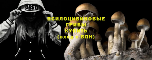соль ск Нефтекумск