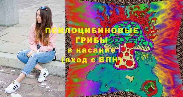 МДПВ Навашино