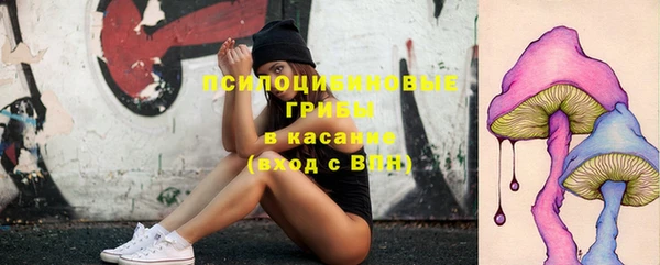 соль курить ск Нея